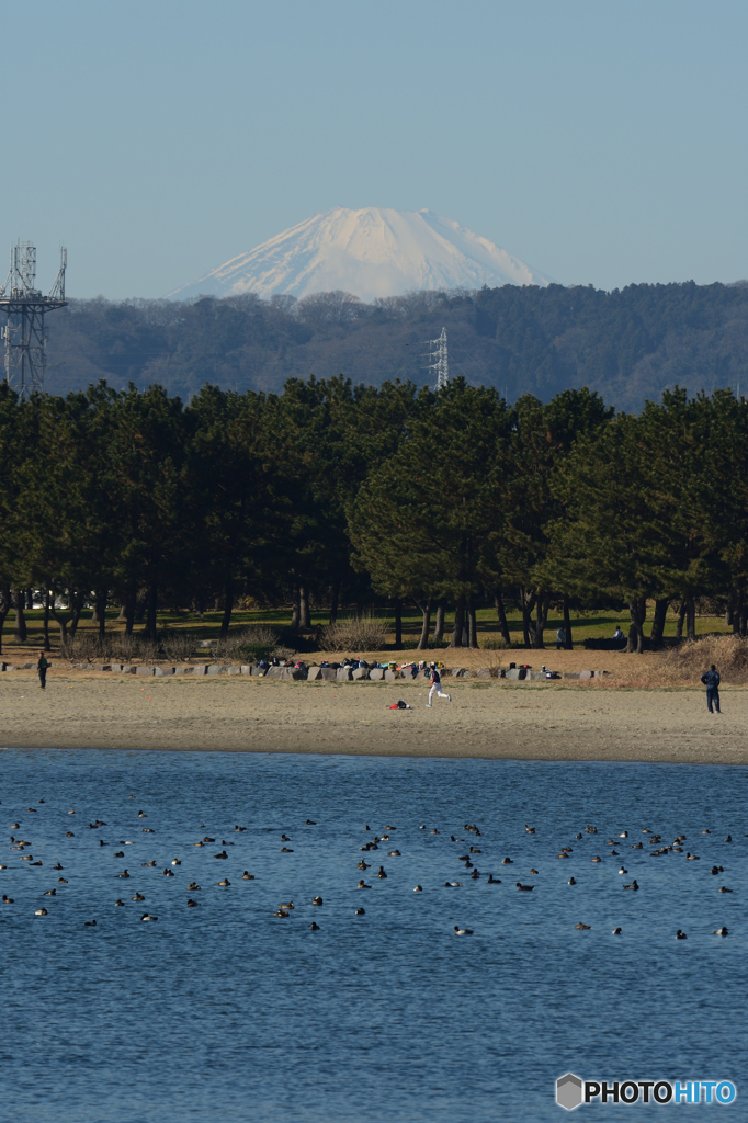 八景島から見た富士山