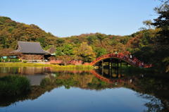 称名寺の紅葉