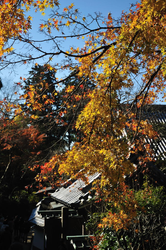 円覚寺・その５