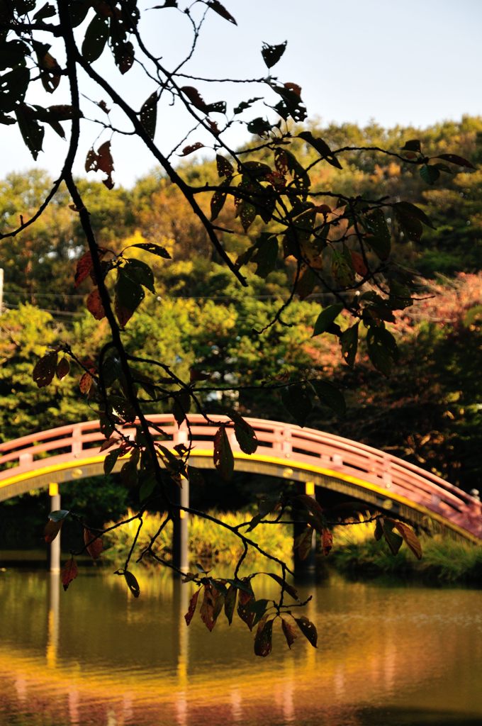 称名寺の秋