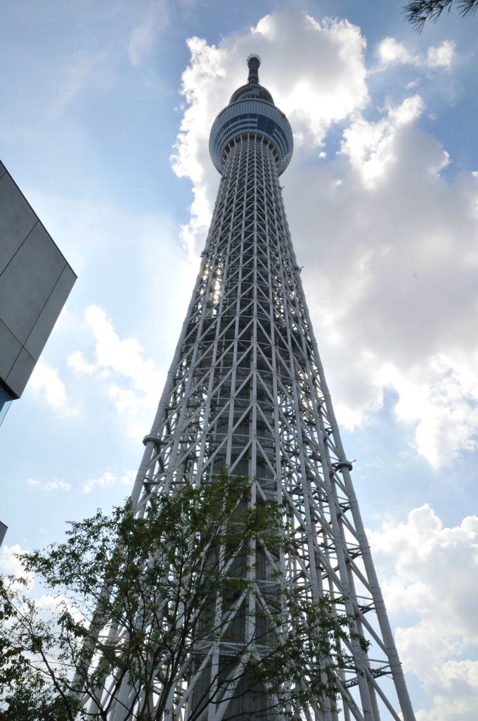 光る空に伸びるスカイツリー
