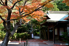 鎌倉宮(1)