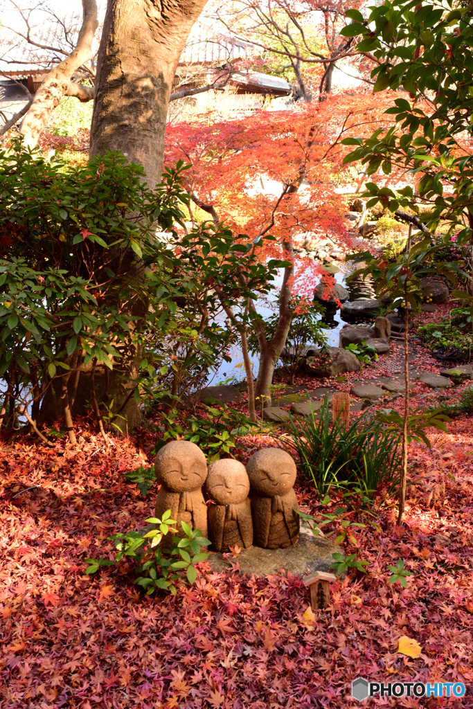 長谷寺(1)