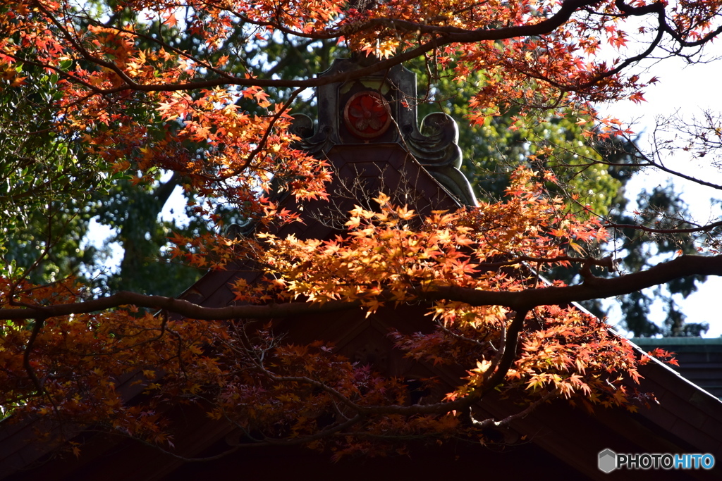 鎌倉宮(2)