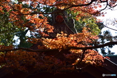 鎌倉宮(2)
