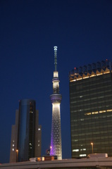 夜景 C08392