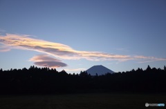 FUJI