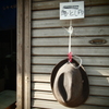 LOST PROPERTY