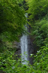 隙間から