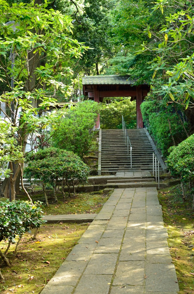 近所のお寺１