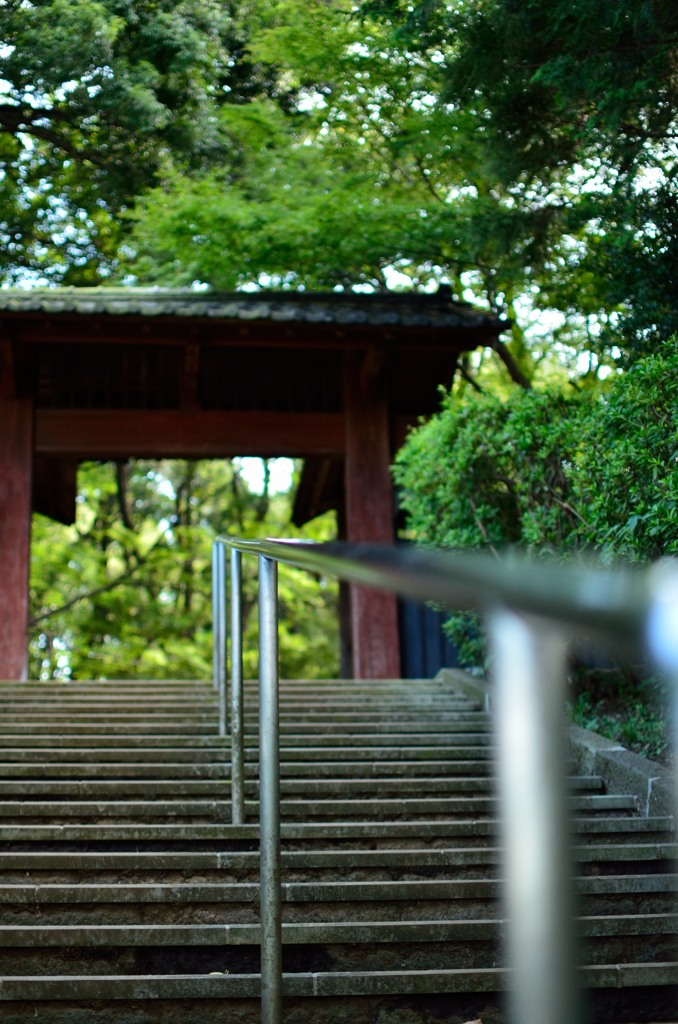 近所のお寺２