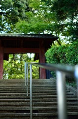 近所のお寺２