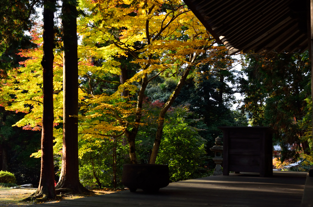 観心寺