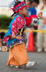 よさこい祭り