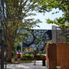 Daikanyama