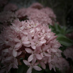 Momentary brightness  