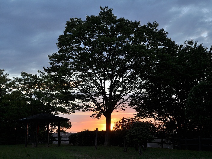 散歩の夕日