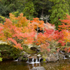 まきび公園紅葉１