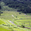 大垪和の棚田２