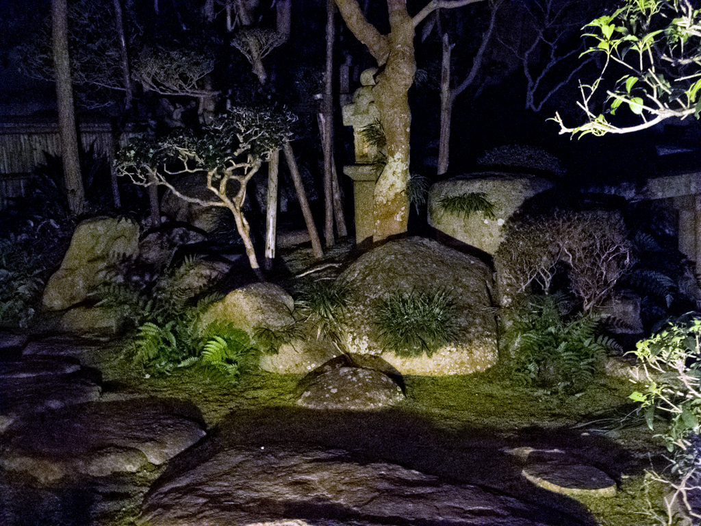 幻想庭園２