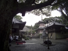 雨中の最御崎寺