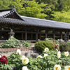 吉備津神社の新緑