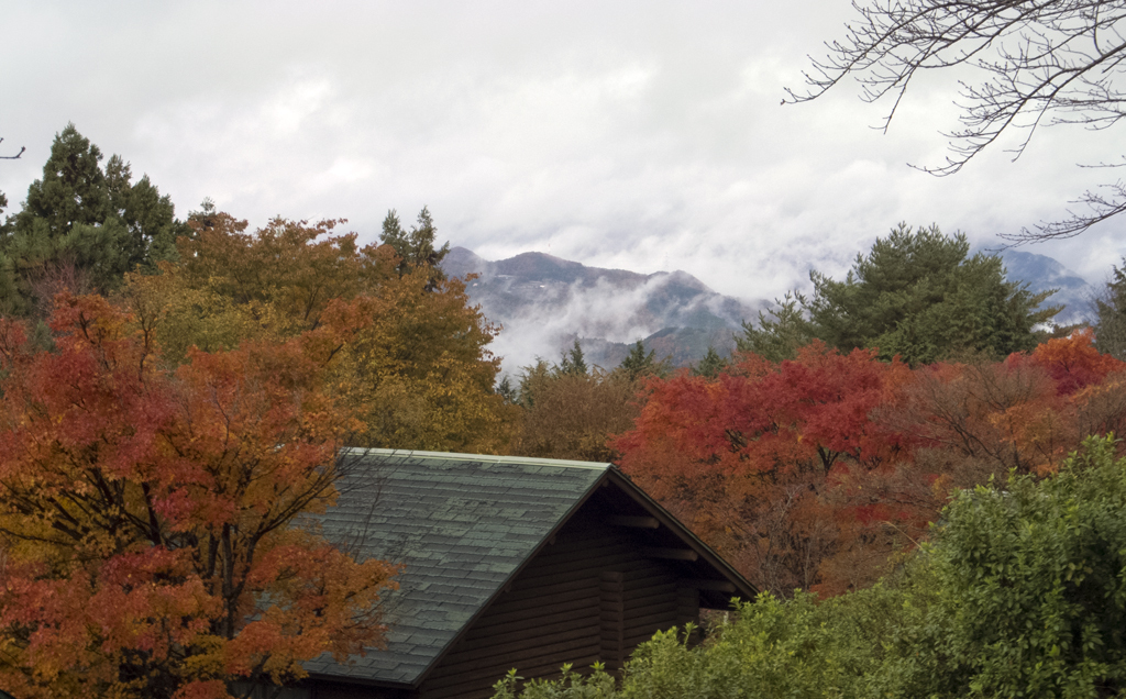 弥高山_紅葉２