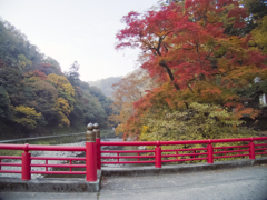 天神峡の紅葉