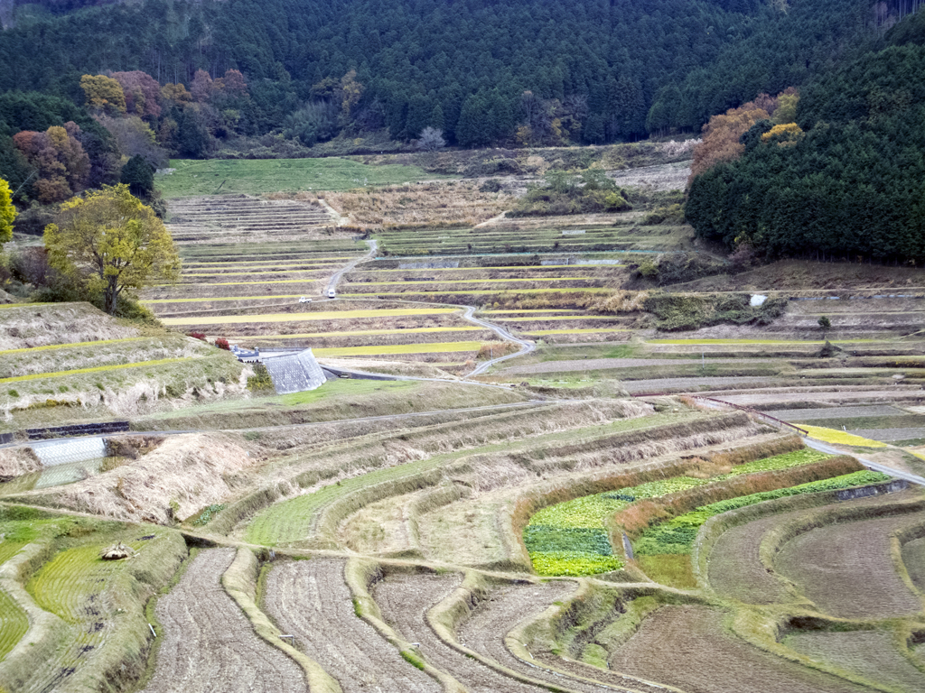 美咲町大垪和の棚田