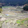 美咲町大垪和の棚田