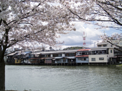 溜川と桜と水上の家