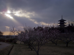 光芒と吉備路五重塔