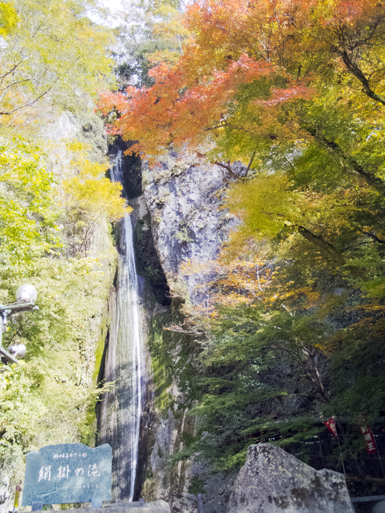 絹掛の滝の紅葉