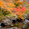 まきび公園紅葉２