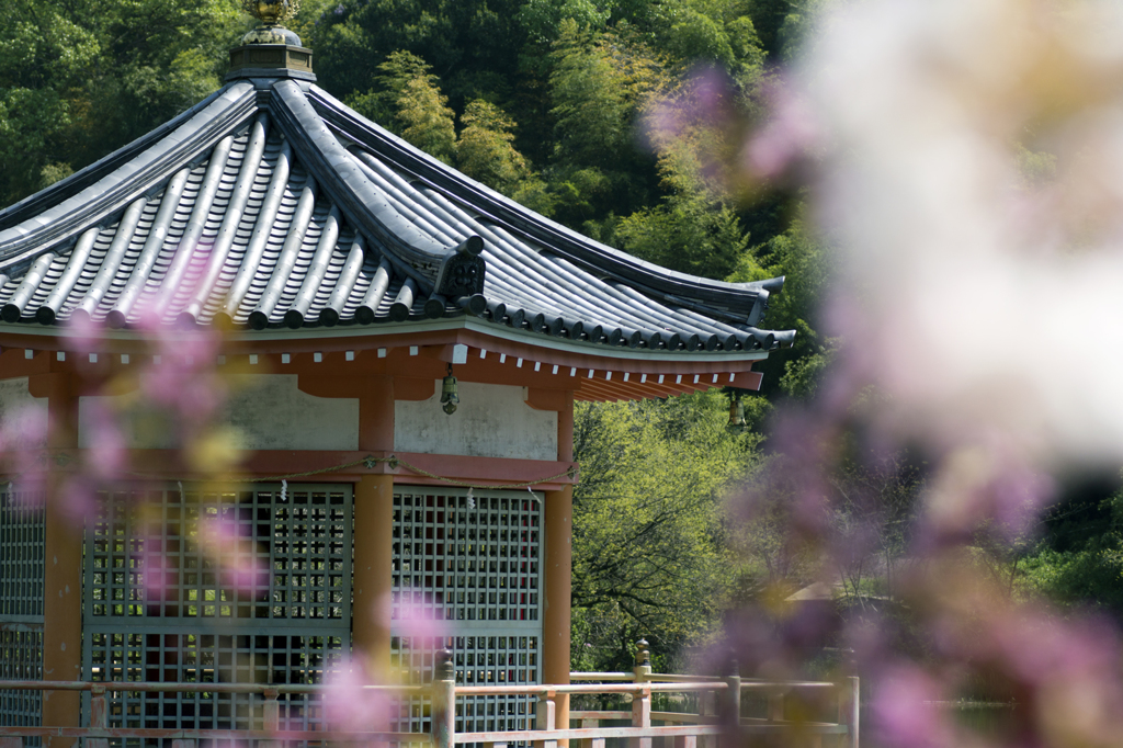 安養寺