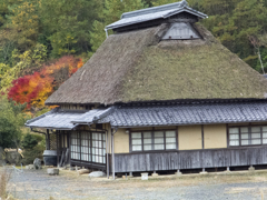 八塔寺村の紅葉