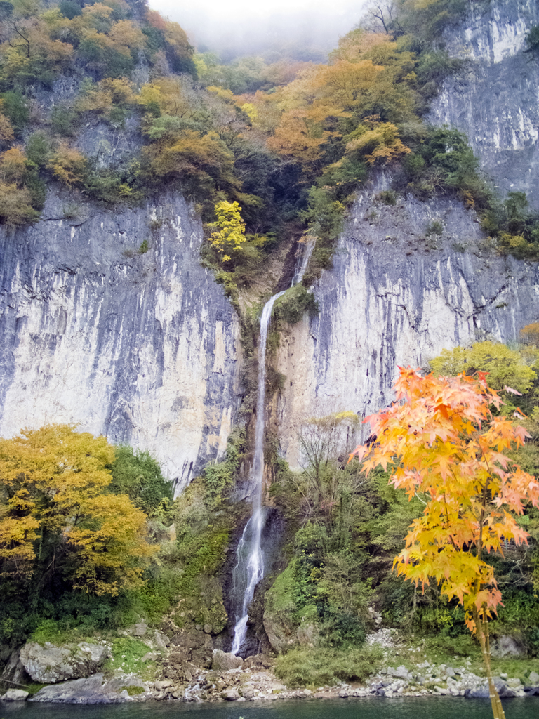 井倉洞の紅葉