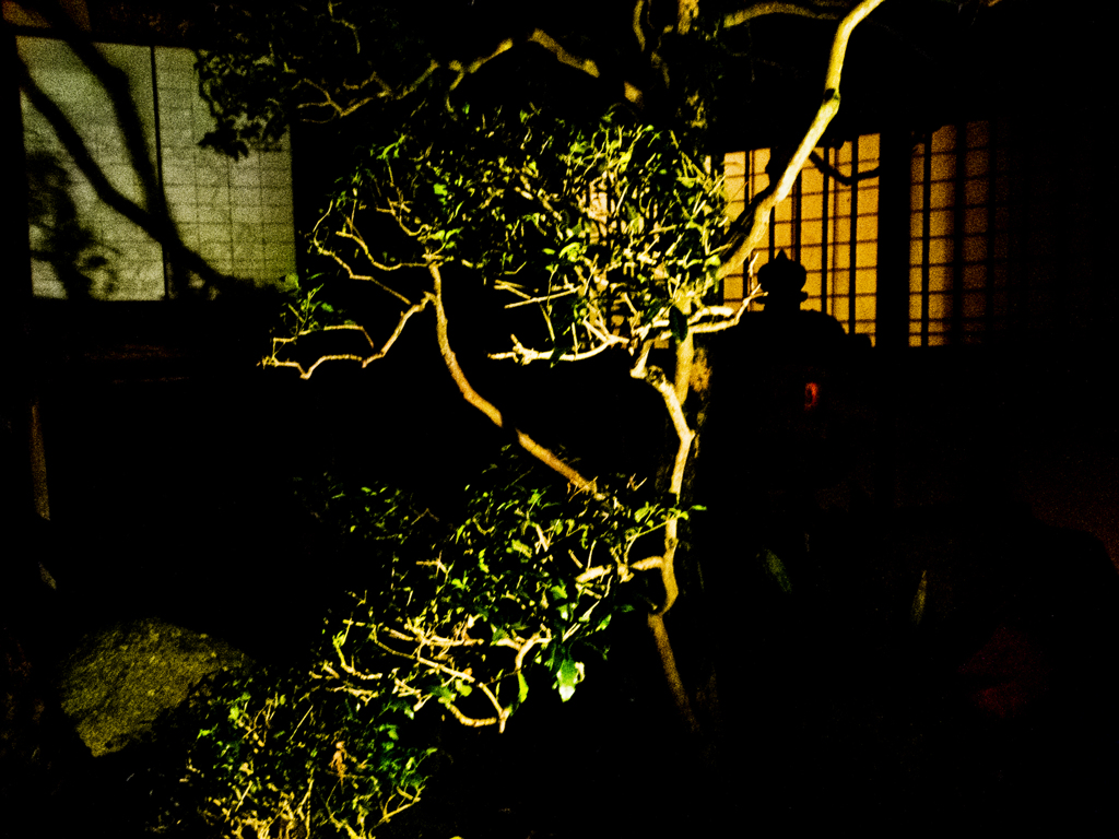 幻想庭園