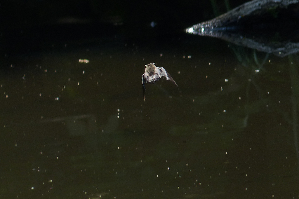 水はどこだ～？