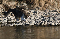 さては、やる気だな？