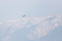 山脈を背景に