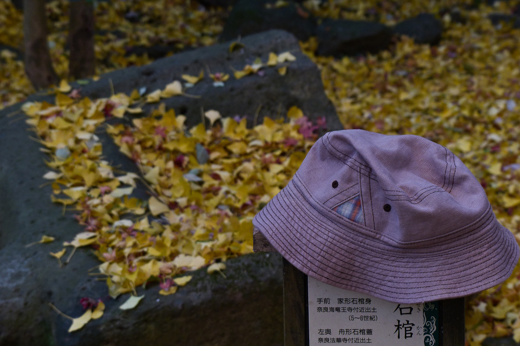 置き忘れ防止