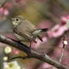 陽射しのあるうちに