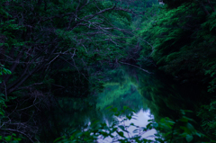 何か出てきそう