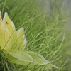秋へ