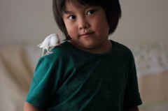 肩乗りインコ
