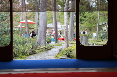 金閣寺トリコロール