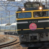 TWILIGHT EXPRESS