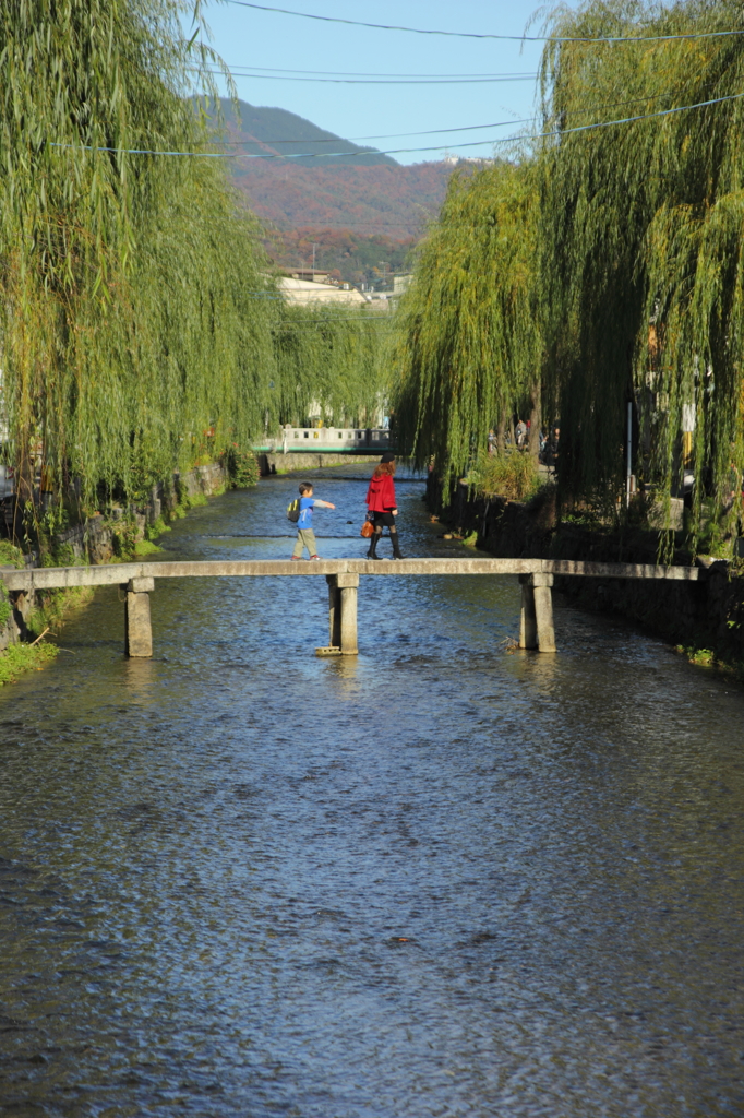 白川の一本橋