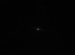 星月星